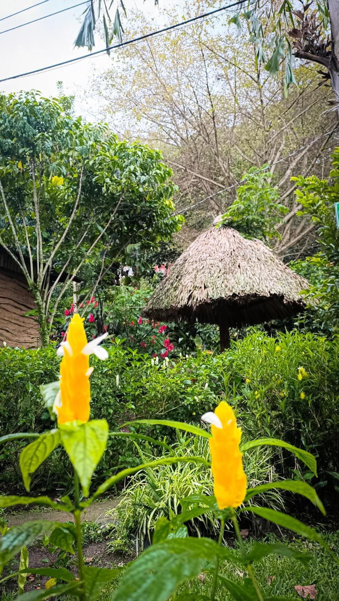 Eco-Hotel Mayachik San Juan La Laguna Luaran gambar